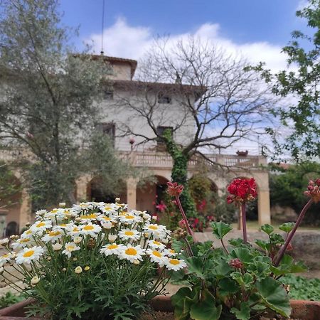 Can Rabassa Pansiyon Vallromanes Dış mekan fotoğraf